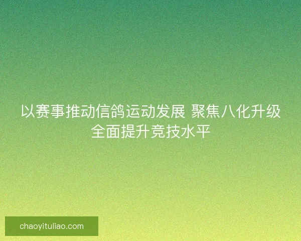 以赛事推动信鸽运动发展 聚焦八化升级全面提升竞技水平